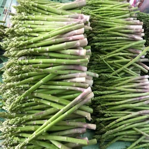 Hạt Giống Măng Tây Xanh - gói 1g