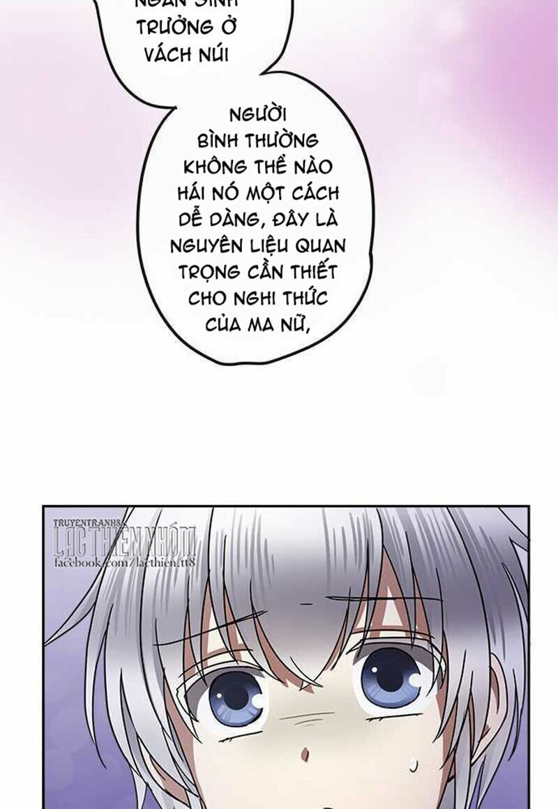 nụ hôn nguyền rủa chapter 104 40