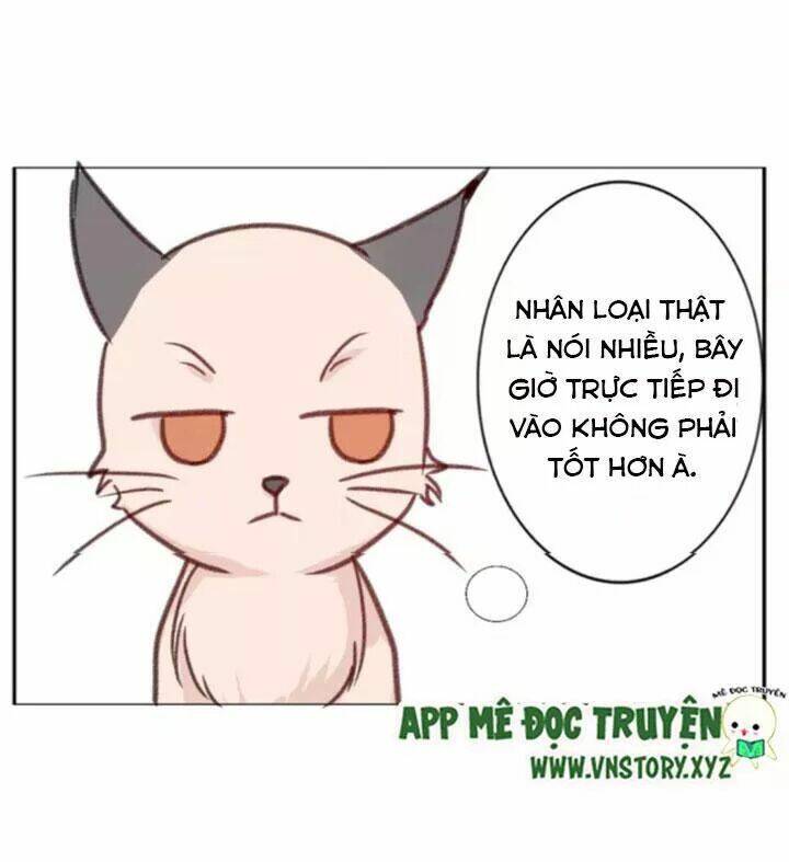 hồ tiên này không tin được chapter 35 30