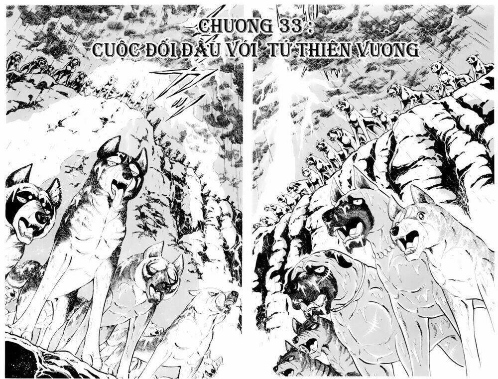 chú chó có nghĩa - ginga nagareboshi gin chapter 33.1 1