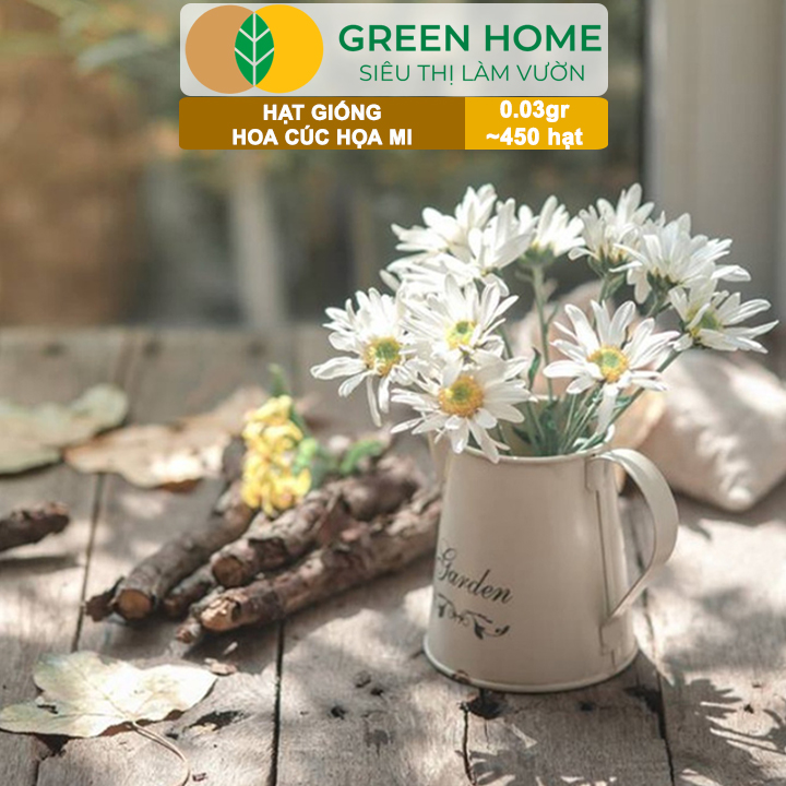 Hạt Giống Cúc Hoạ Mi Greenhome, Gói 0,03gr~450 hạt, Dễ Trồng Quanh Năm, Hoa Trắng, Nhuỵ Vàng H04