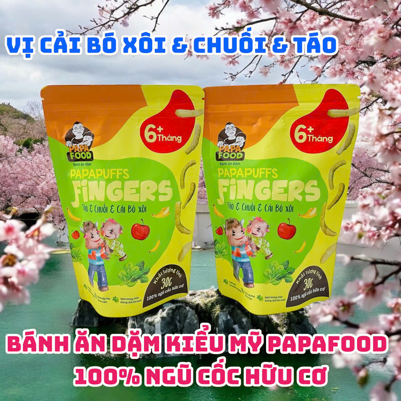 Bánh ăn dặm PAPAFOOD PAPAPUFFS Chuối &amp; Táo &amp; Cải Bó Xôi - 100% Ngũ Cố Hữu Cơ - Gói 30G
