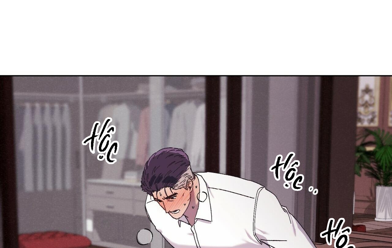 chàng dâu nhà họ kang chapter 28 98