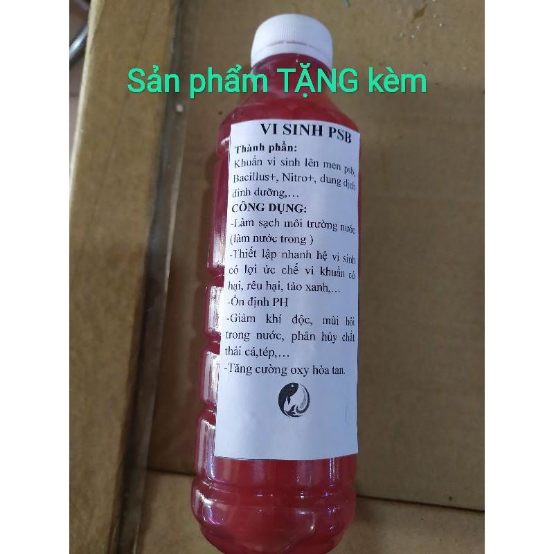 Bộ 6 sản phẩm xử lý mọi loại nấm bệnh trên cá cảnh