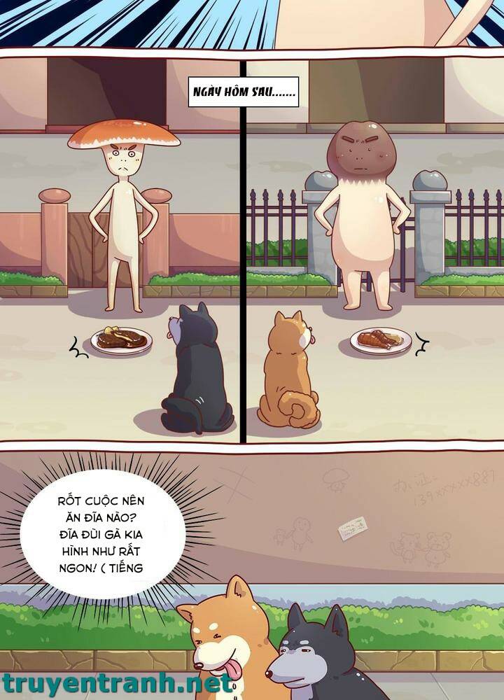 cây nấm kì khả chapter 6 8