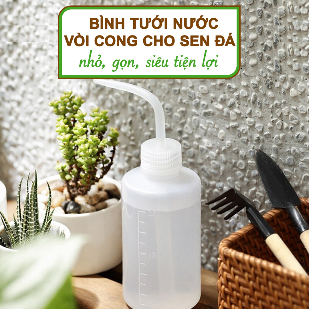 Bình tưới cây vòi cong, 250ml, phù hợp cho sen đá, xương rồng, tiểu cảnh mini, màu sắc ngẫu nhiên |Greenhome