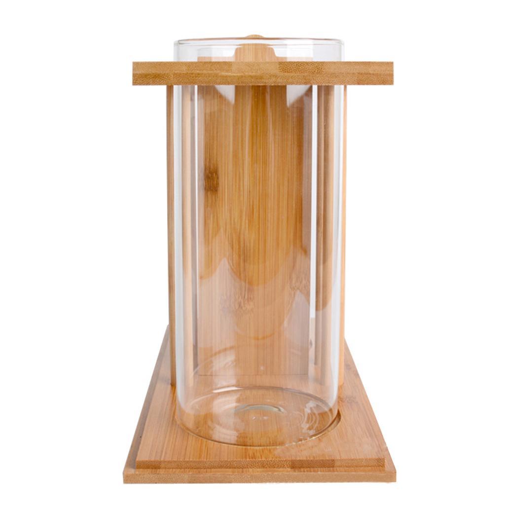 Mini   Tank Water Plant Terrarium Transparent Small Aquarium Desk Decor