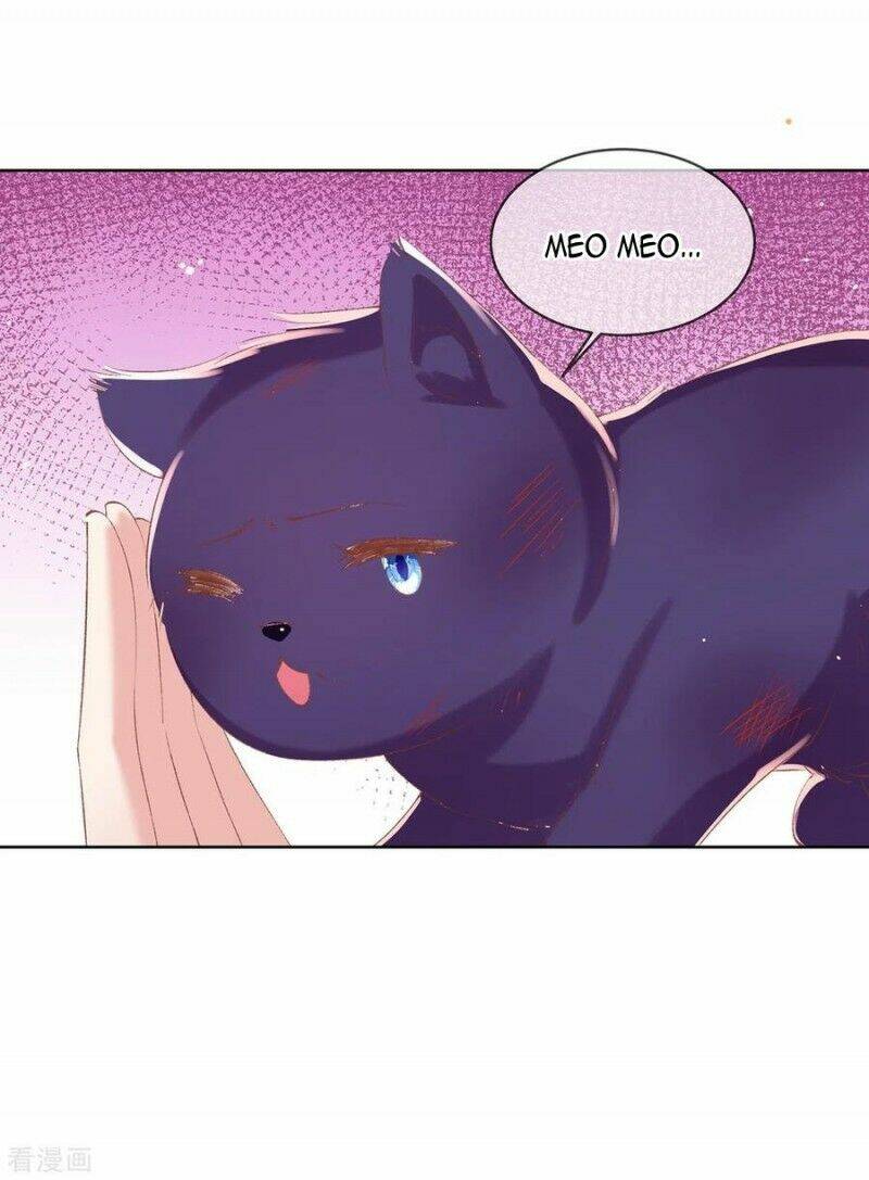 thị huyết y phi chapter 89 1