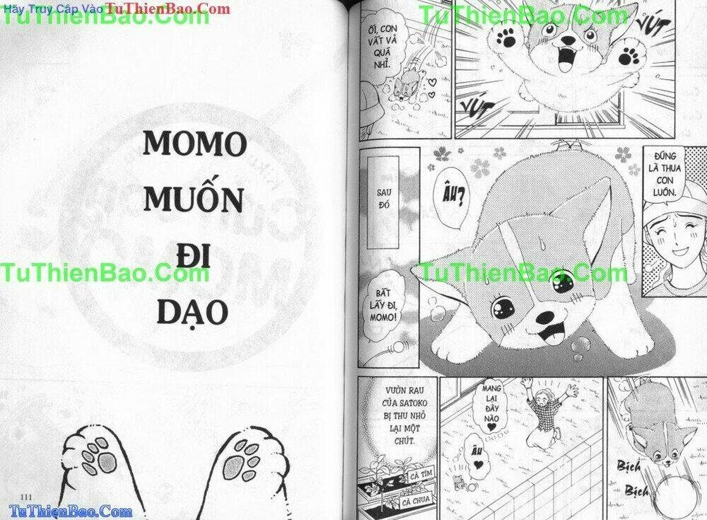 chó con mo mo chapter 3 57