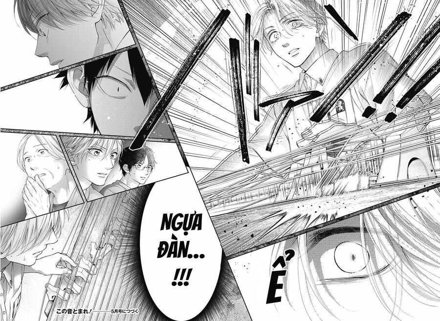 kono oto tomare! chapter 122 30