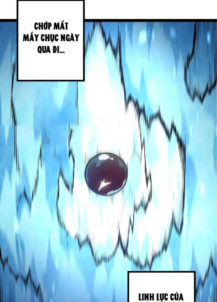 từ cây cổ thụ bắt đầu tiến hóa chapter 90 2