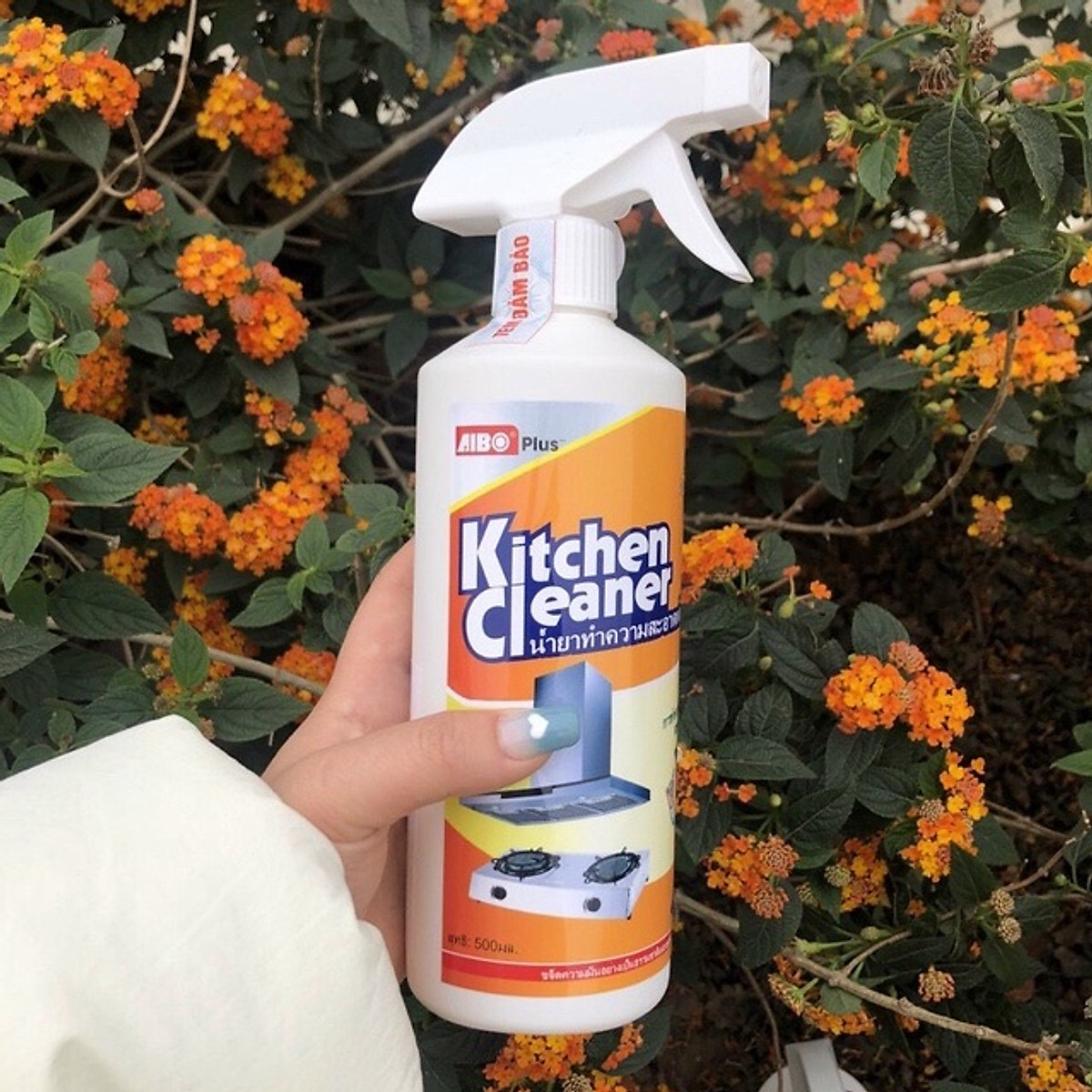 Chai Xịt Mỏ Vịt Vệ Sinh Nhà Bếp 500Ml