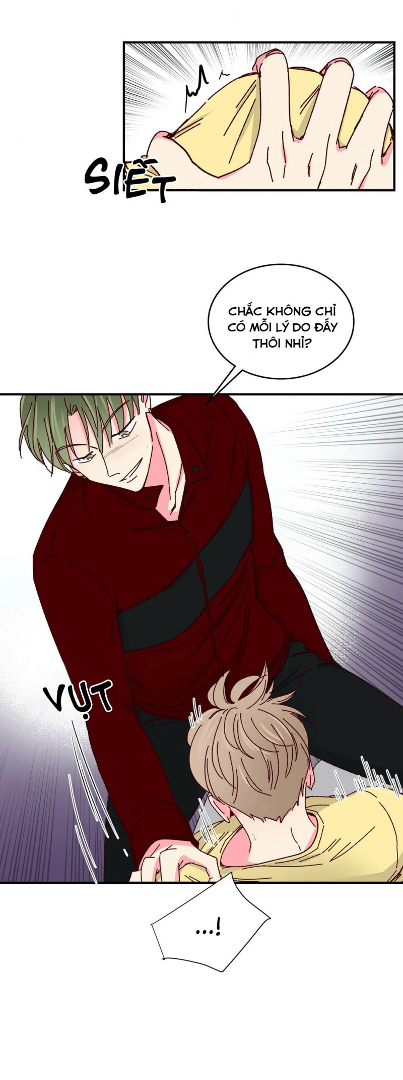 món tráng miệng của sếp tổng chapter 38 3