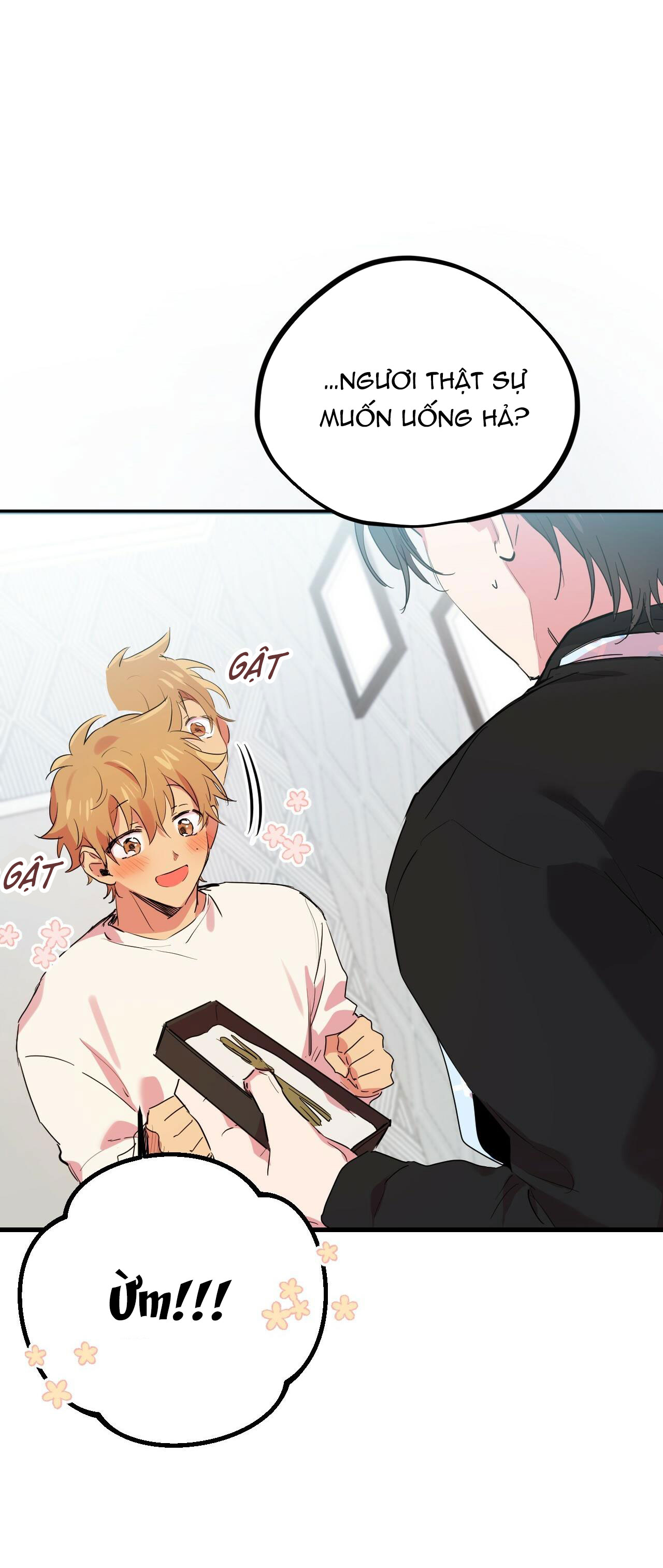 những chú thỏ của hapypy chapter 12 36