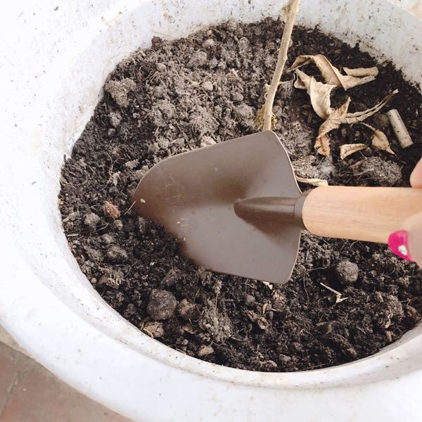 Bộ 2 dụng cụ làm vườn siêu tiện lợi chất liệu cao cấp - Hàng Nội địa Nhật