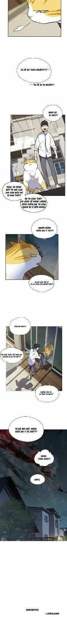 biến thân thành mèo chapter 4 39