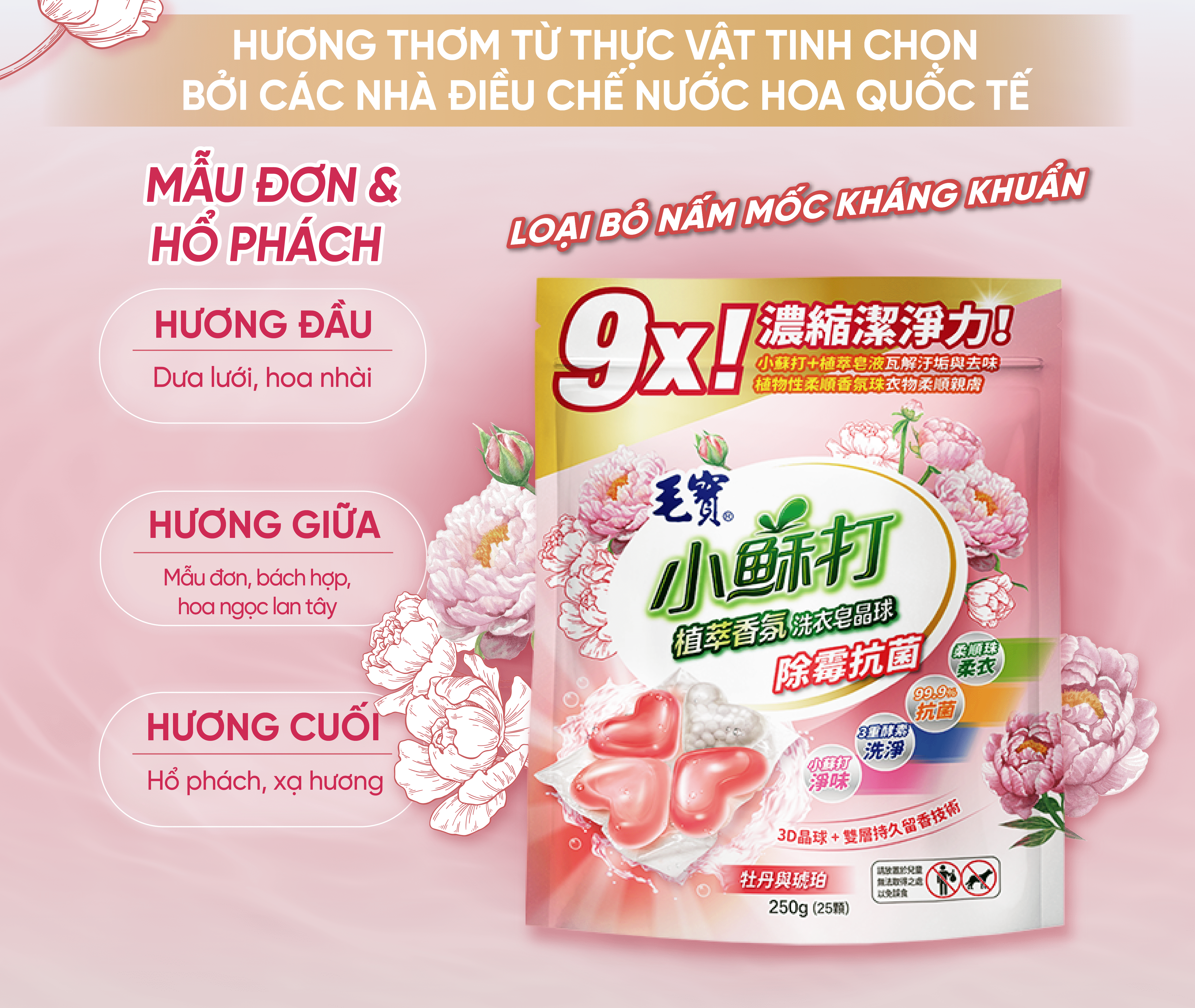 Combo 2 Túi Viên giặt xả Mao Bao - Chống nấm mốc và kháng khuẩn 10g*25 viên (Hương mẫu đơn và hổ phách)