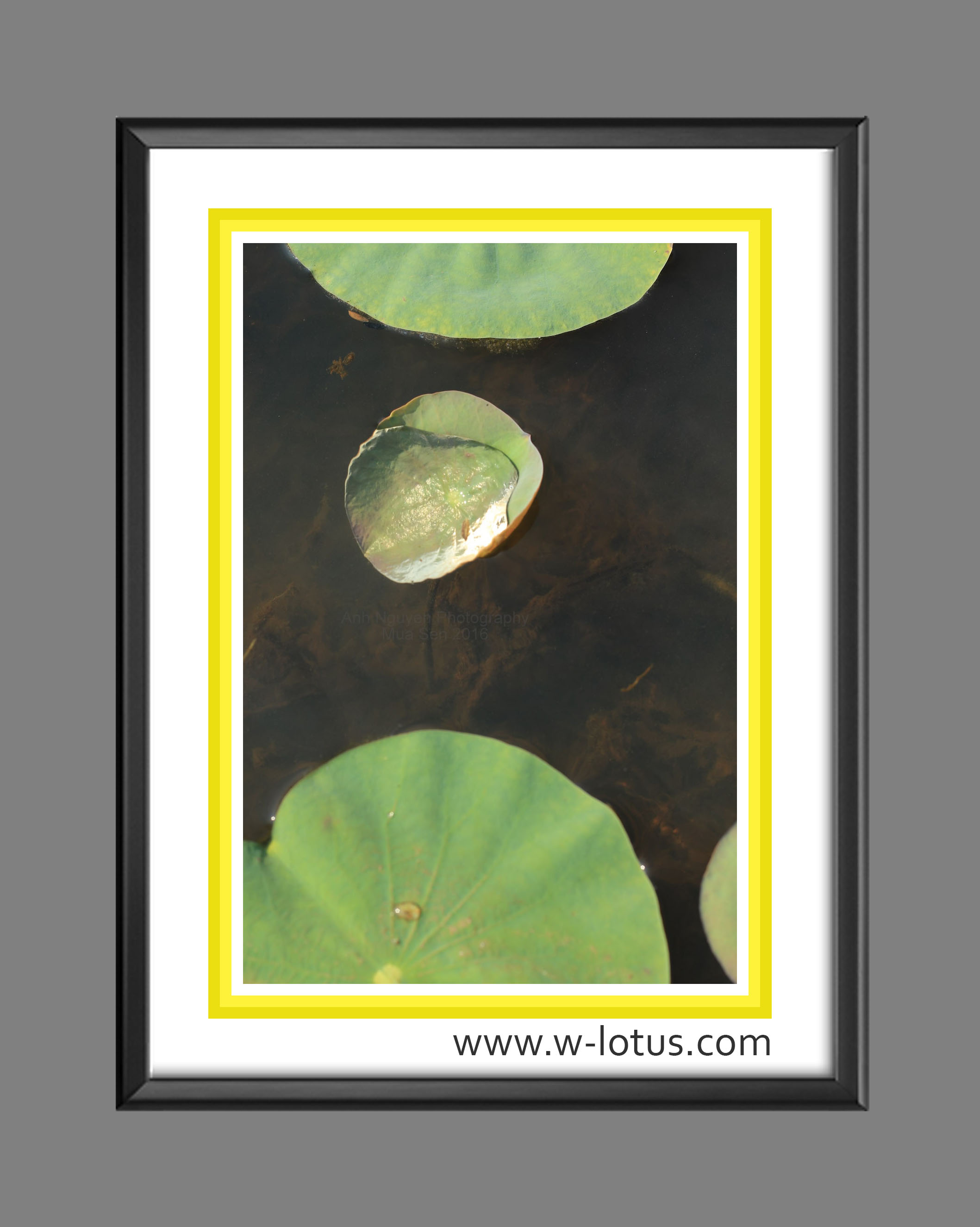 Tranh canvas hoa Sen treo phòng khách ST-00308