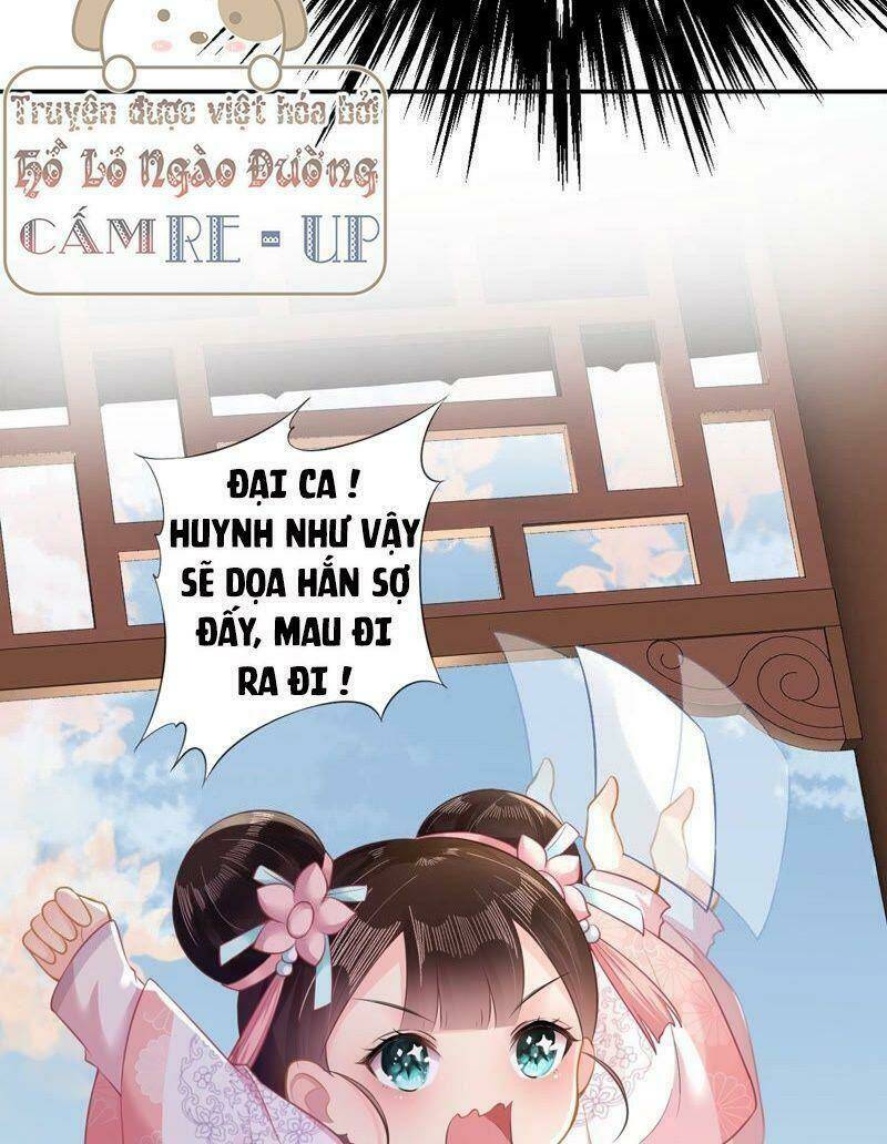 quận chúa vững vàng, thiết lập nhân vật không thể vỡ chapter 14 5