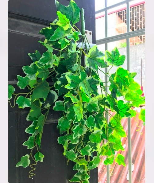 Cây giả lá rùa rủ, cỏ giả trang trí, hoa giả trang trí tiền cảnh, hoa trang trí tết 65cm/1 dây
