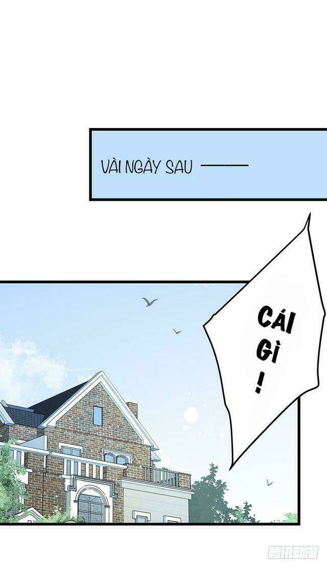 chào buổi sáng, ức vạn manh thê chapter 4 8