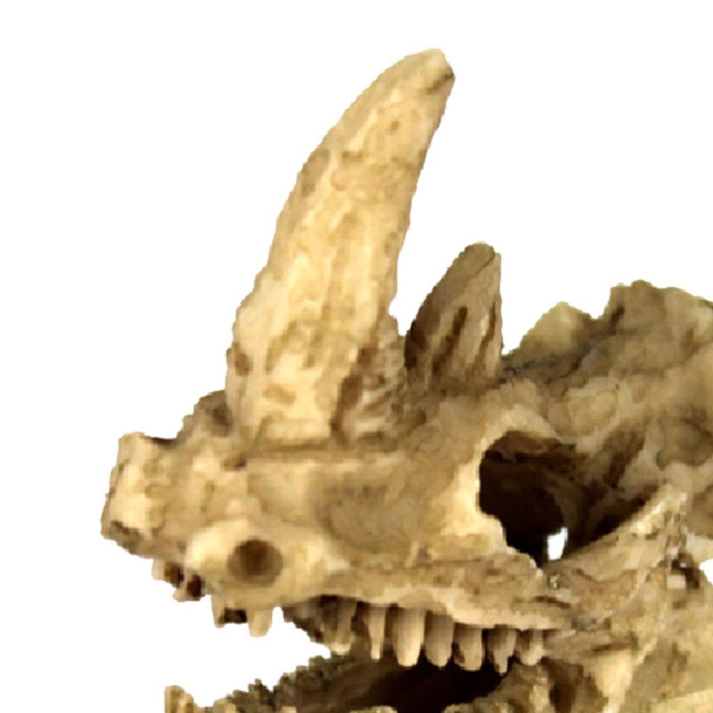 Reptile Terrarium Vivarium Ornament Decor Lizard Hide Cave Rhino Skull