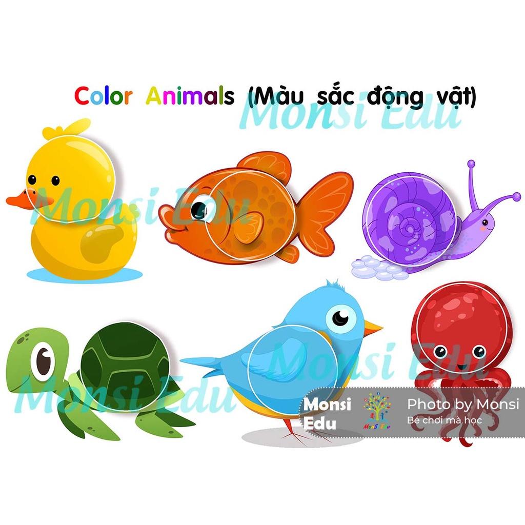 Học Liệu Dính Dán Màu Sắc &amp; Hình Học