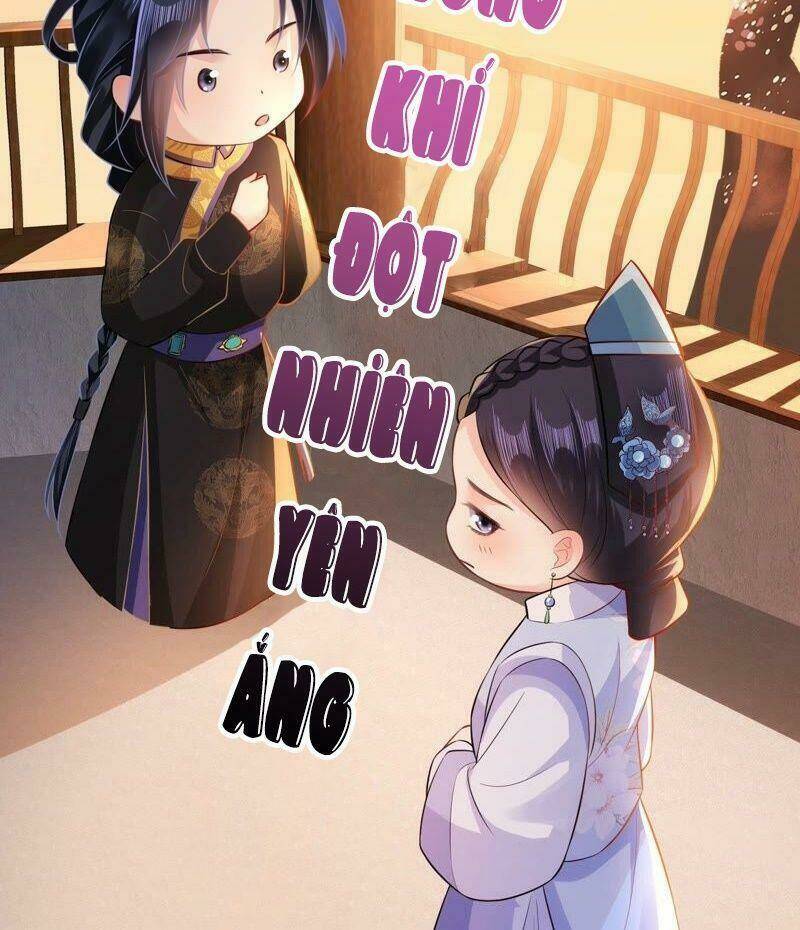 quận chúa vững vàng, thiết lập nhân vật không thể vỡ chapter 50 23