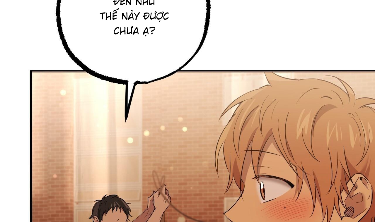 những chú thỏ của hapypy chapter 56 173