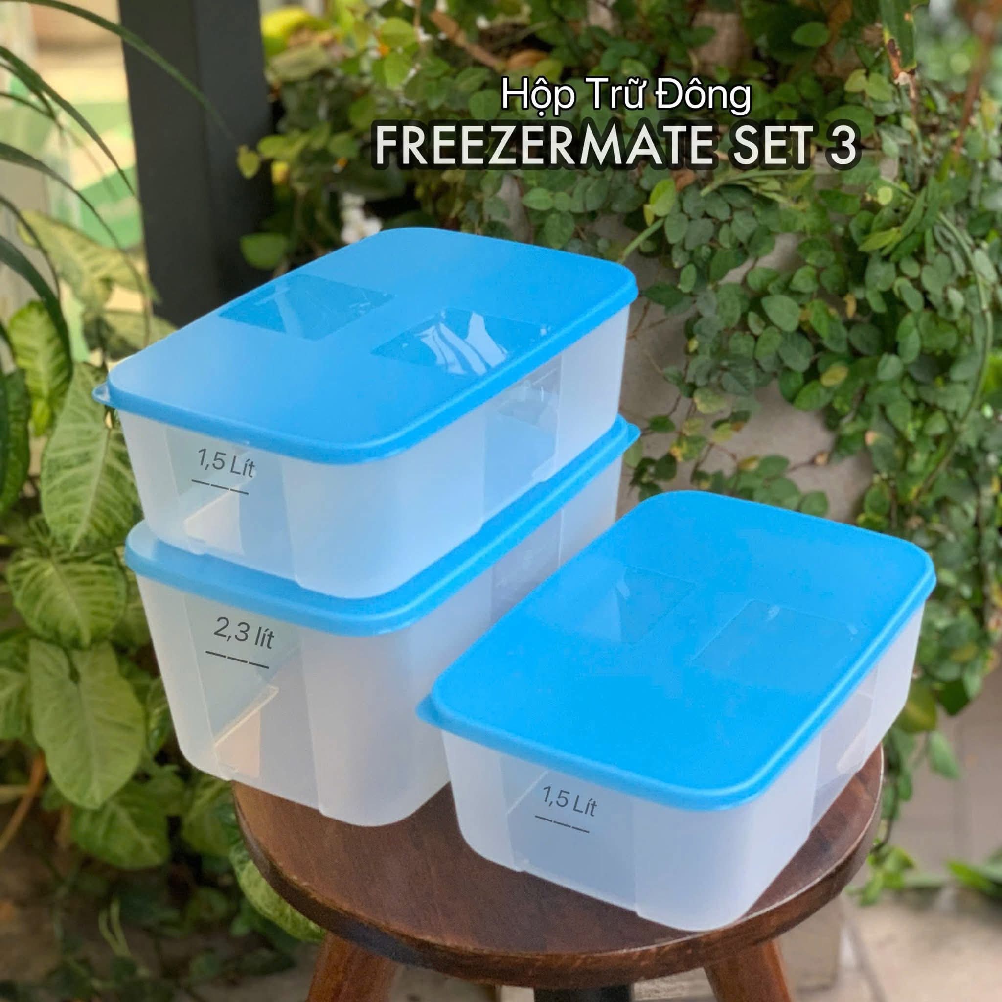 Bộ Hộp Đựng Thực Phẩm Tupperware Trữ Đông Gen I Medium 2.3L &amp; 1.5L