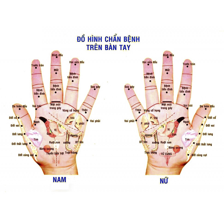 Combo 2 cây ấn huyệt bằng gỗ Bách Xanh hình con sâu giúp đả thông kinh mạch và lưu thông khí huyết - Chăm sóc sức khỏe