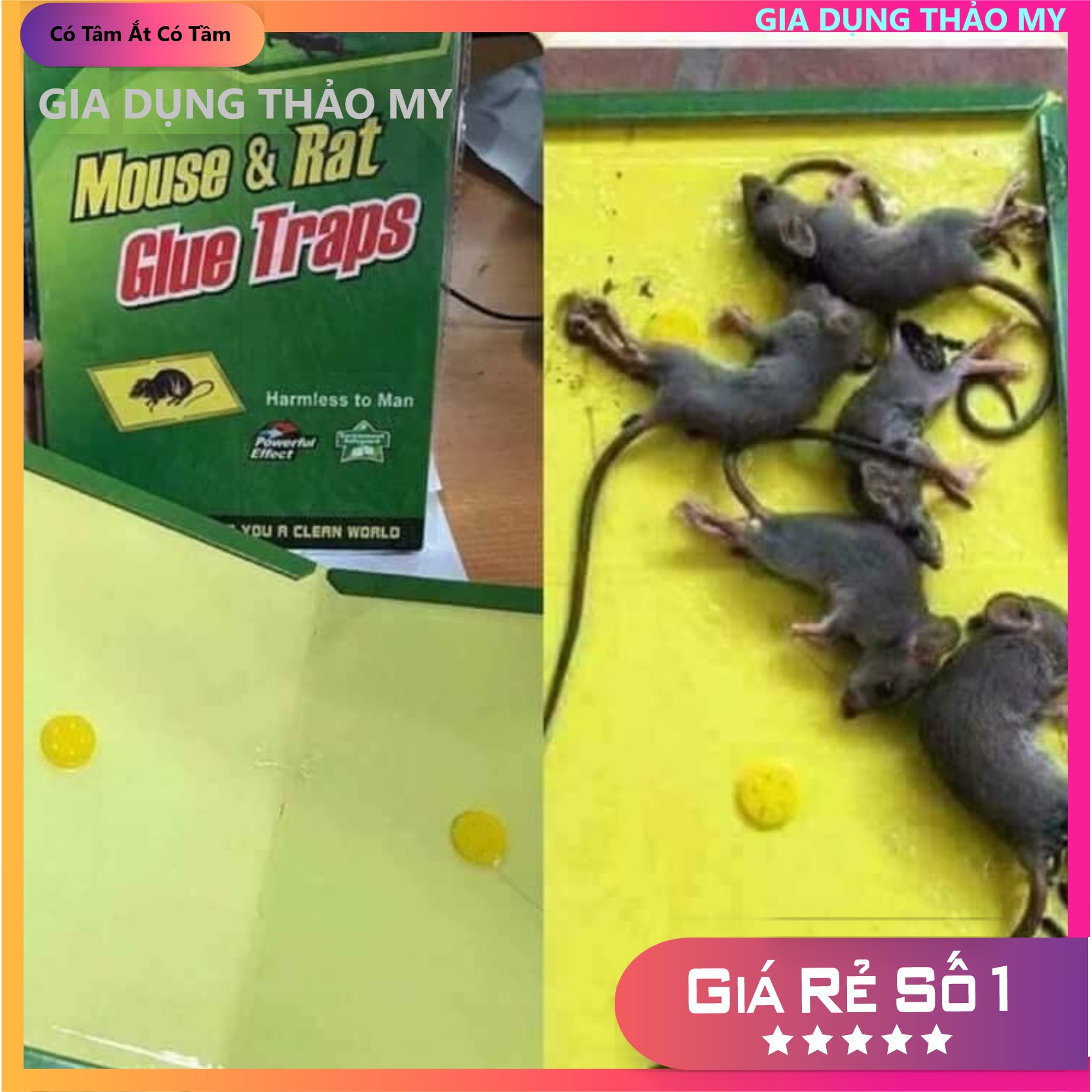 Miếng keo dán chuột Siêu Dính (có mồi) An toàn khi sử dụng
