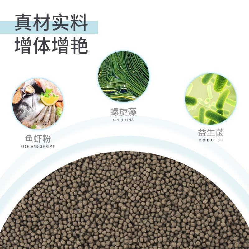 Thức ăn cá ali JONSANTY - Cám dinh dưỡng cho các dòng cá Cichlids - phụ kiện thủy sinh - shopleo