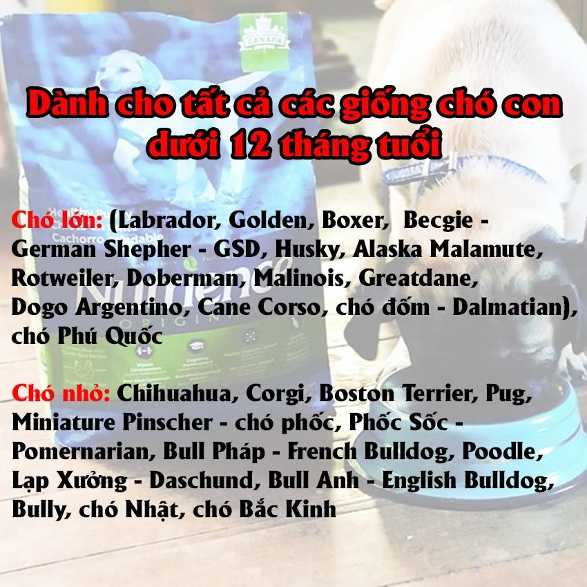Thức Ăn Cho Chó Con Nutrience Infusion Bao 500g Thịt Gà, Rau Củ Quả Và Trái Cây Tự Nhiên