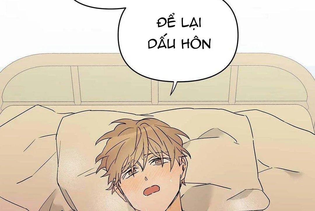 guide cấp b chapter 8 176