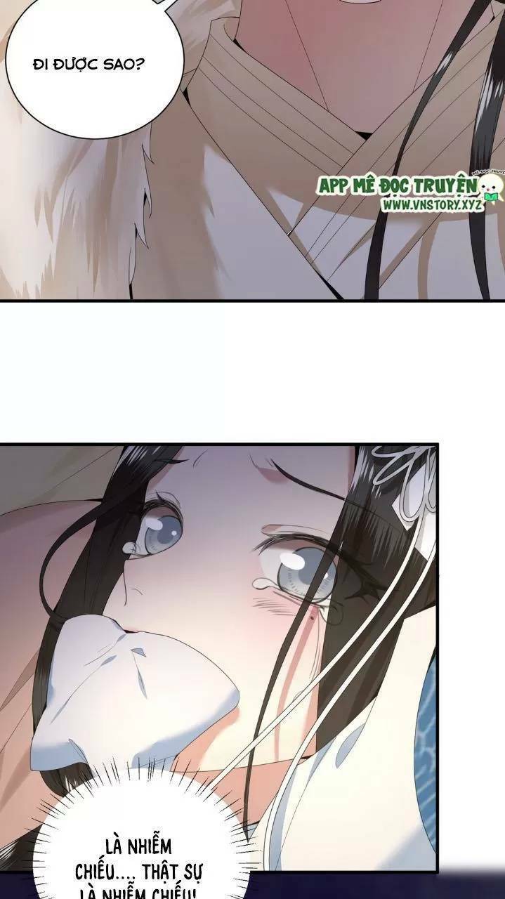 phượng hoàng vu phi chapter 66 31