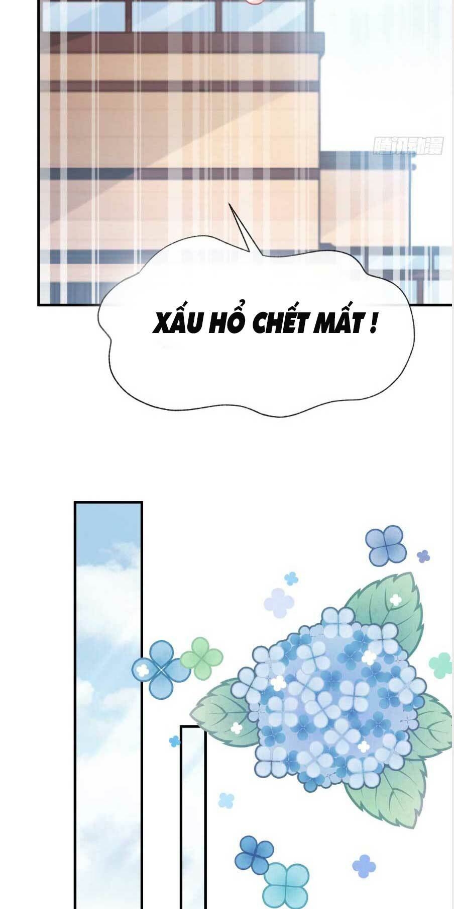 bá đạo tổng tài nhẹ nhàng yêu chapter 52.2 16
