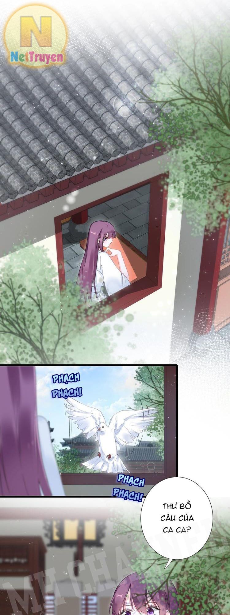 hoa nhan sách 2 chapter 65 11