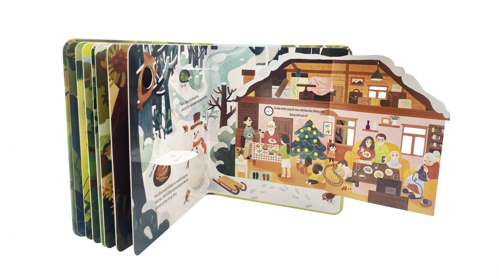 Khám phá thế giới nhỏ – Bốn mùa