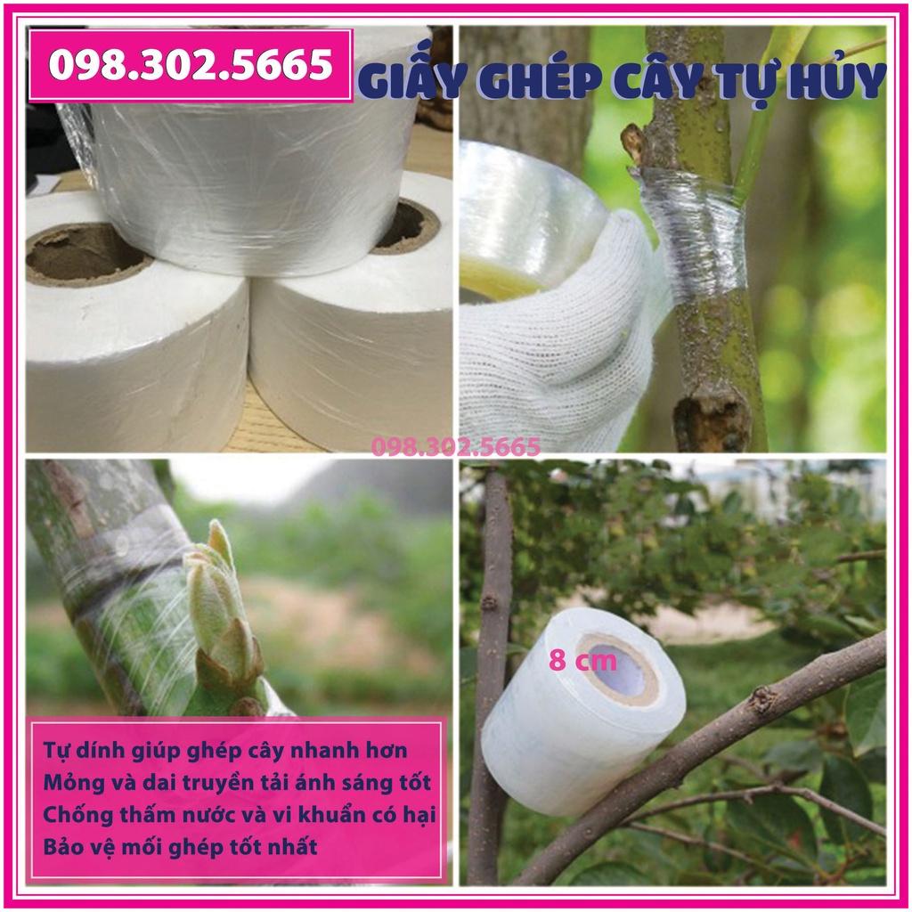 Giấy ghép cây tự hủy - khổ 8 cm - Dùng cho các loại cây to, cành lớn