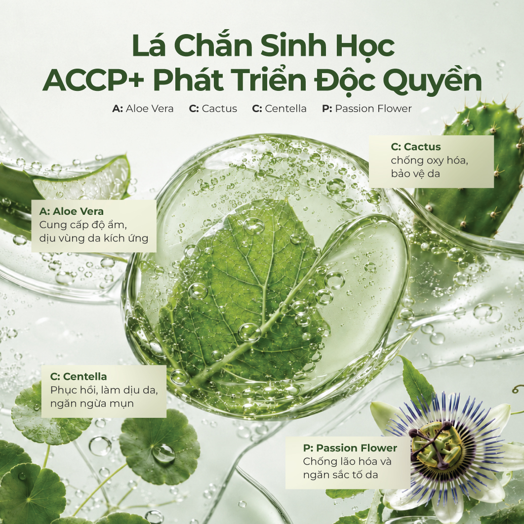 Kem Chống Nắng Thuần Chay Phổ Rộng Xương Rồng Heebee's Dưỡng Trắng, Chống Tia UVA, UVB, Ánh Sáng Xanh, Nâng Tone 40g