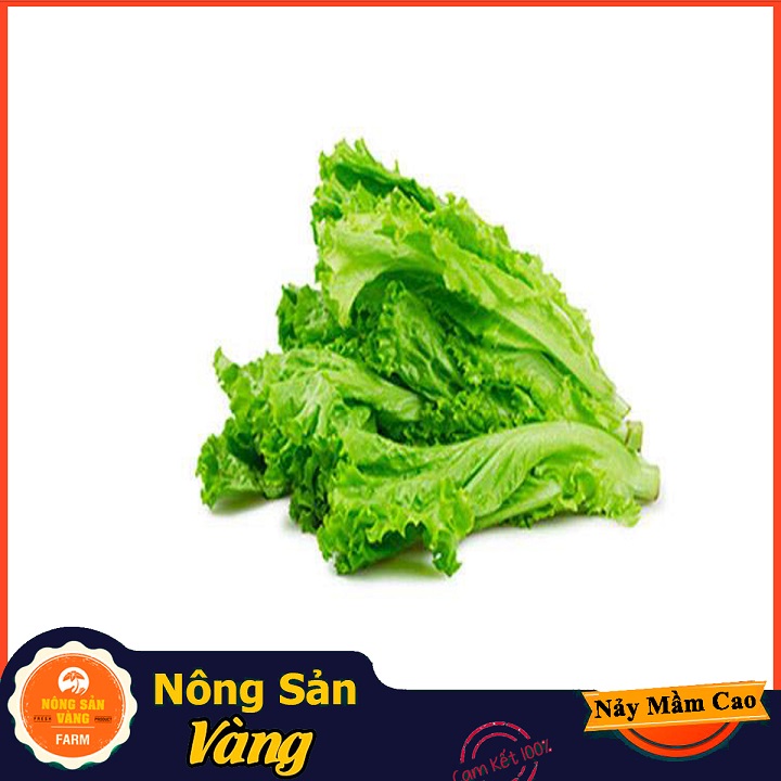 Hạt giống Xà Lách Xoăn Xanh ( Gói 5 Gram ) - Nông Sản Vàng