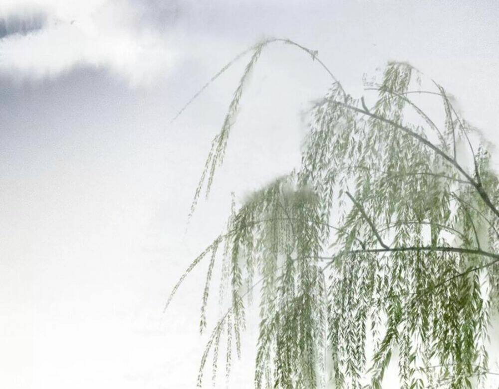 họa tiên truyện chapter 9 19