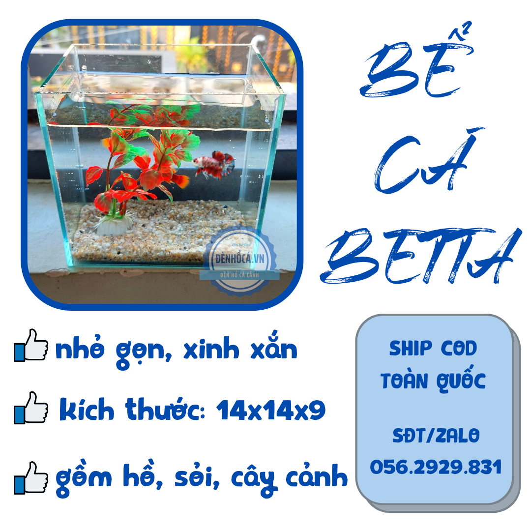 Bể cá mini BETTA nhỏ xinh kèm phụ kiện