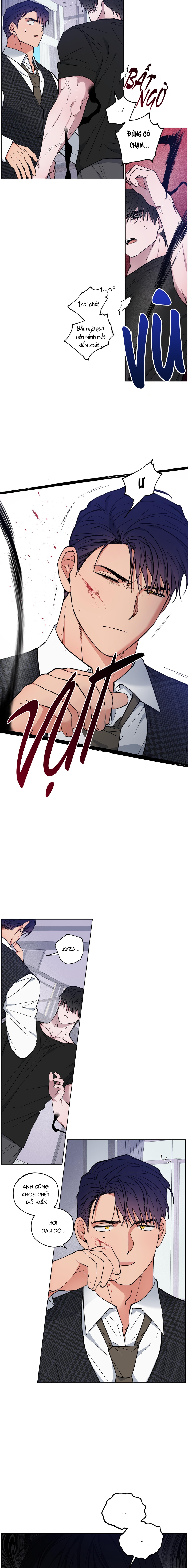 bình minh trên sông mây chapter 22 11