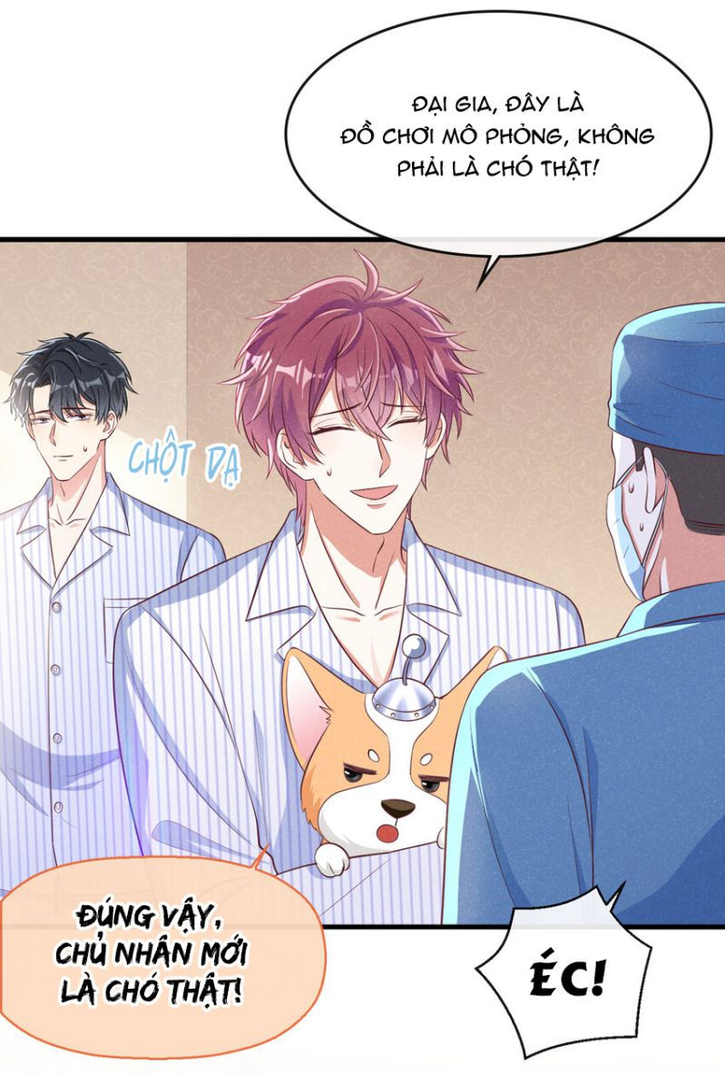 tôi với hình mẫu lý tưởng lìa trần rồi! chapter 49 27