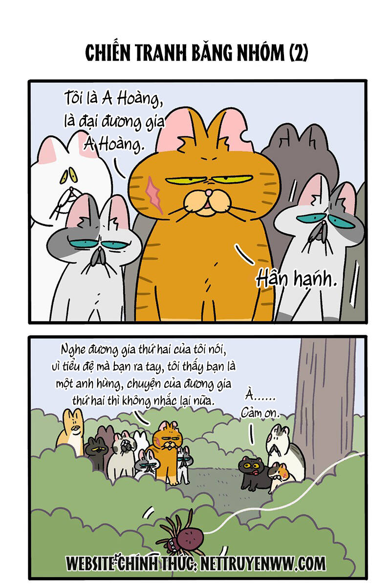 a mãn và mạch trà chapter 43 3