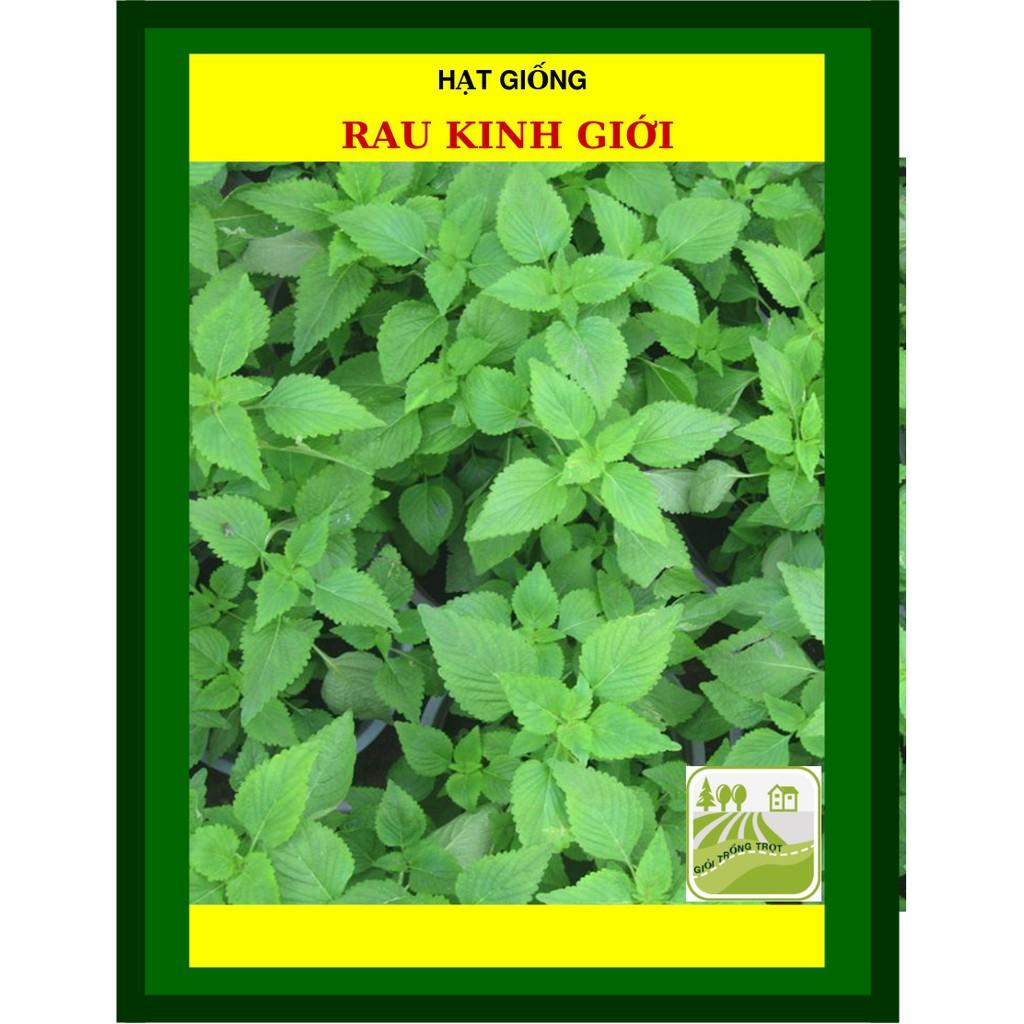 1 Gram- Hạt Giống Rau Kinh Giới