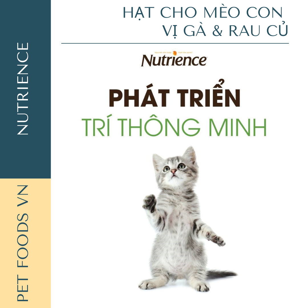 Hạt cho mèo con NUTRIENCE Infusion Kitten vị Gà &amp; Rau củ