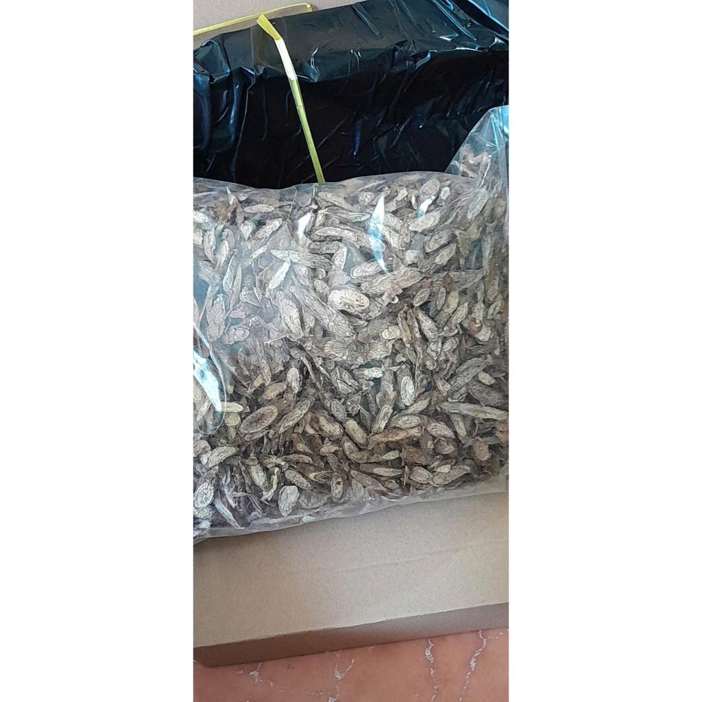 cây ký ninh khô gói túi 1kg